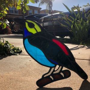 Paradise Tanager 2