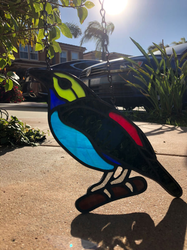 Paradise Tanager 2